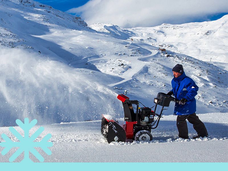 Gartenkalender für den Dezember