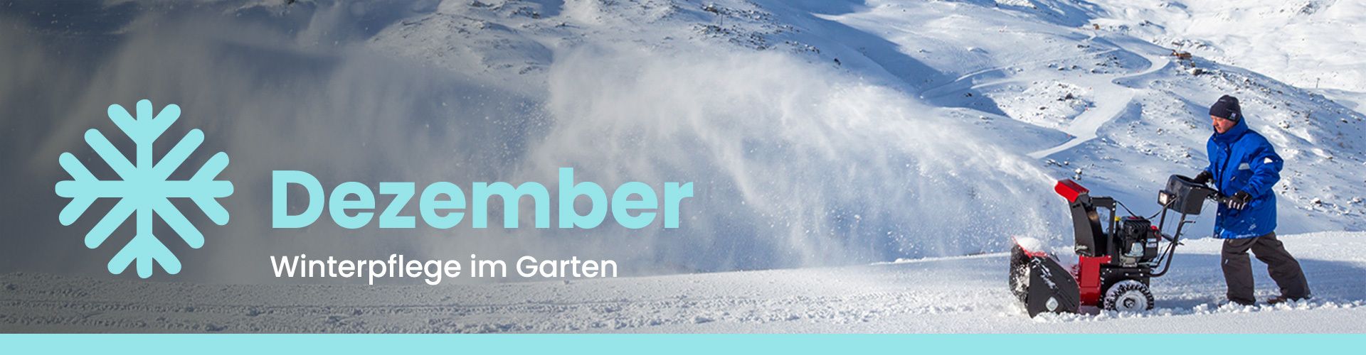 Gartenkalender für den Dezember