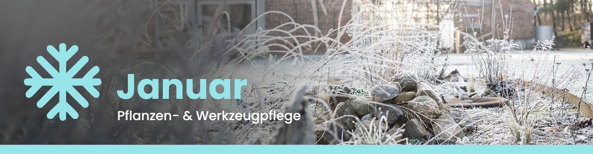 Gartenkalender für den Januar