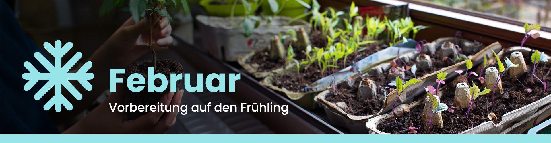 Gartenkalender für den Februar
