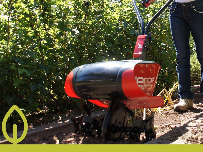 Gartenkalender für den März