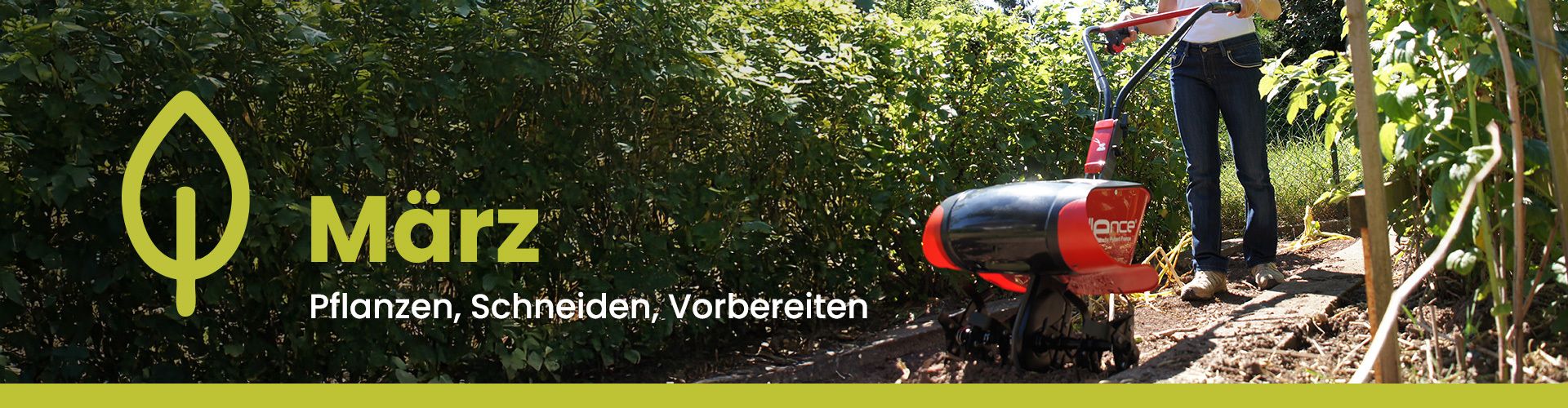 Gartenkalender für den März