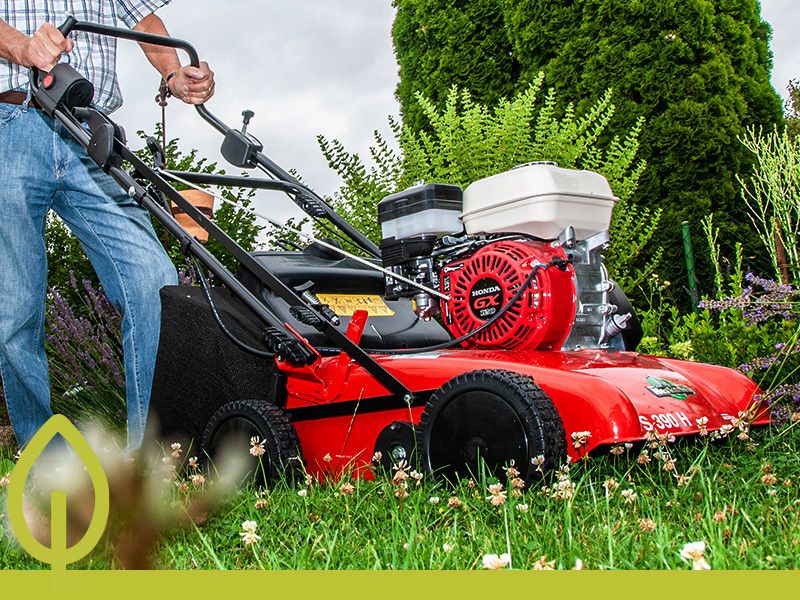 Gartenkalender für den April