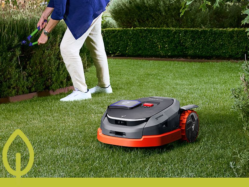 Gartenkalender für den Mai