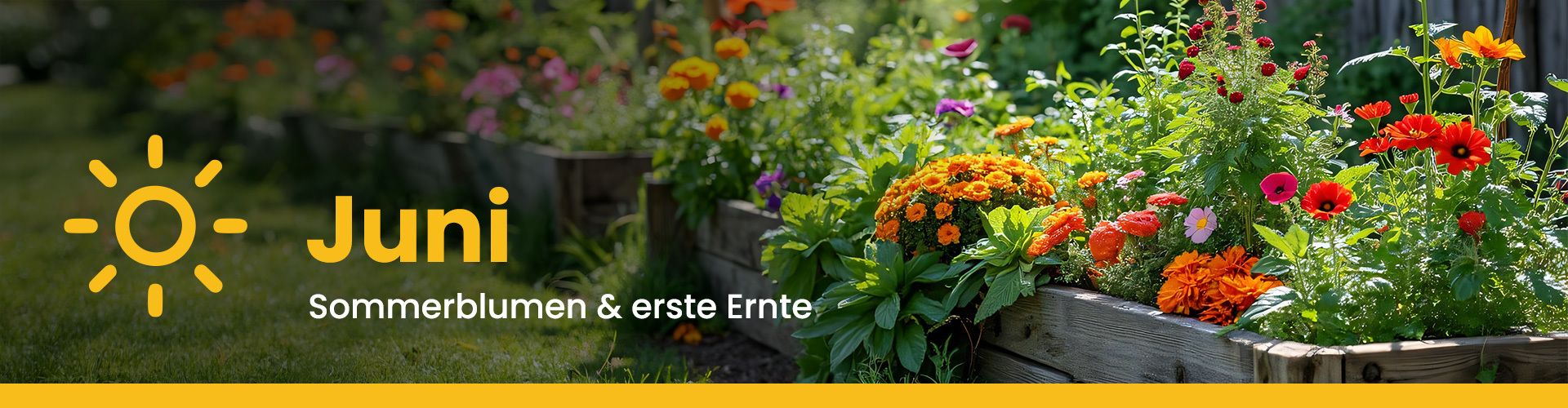 Gartenkalender für den Juni