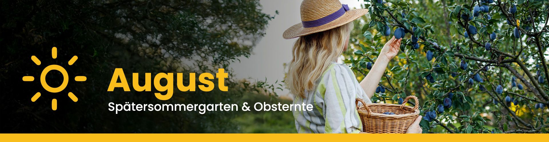 Gartenkalender für den August