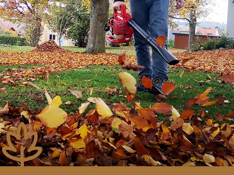 Gartenkalender für den September