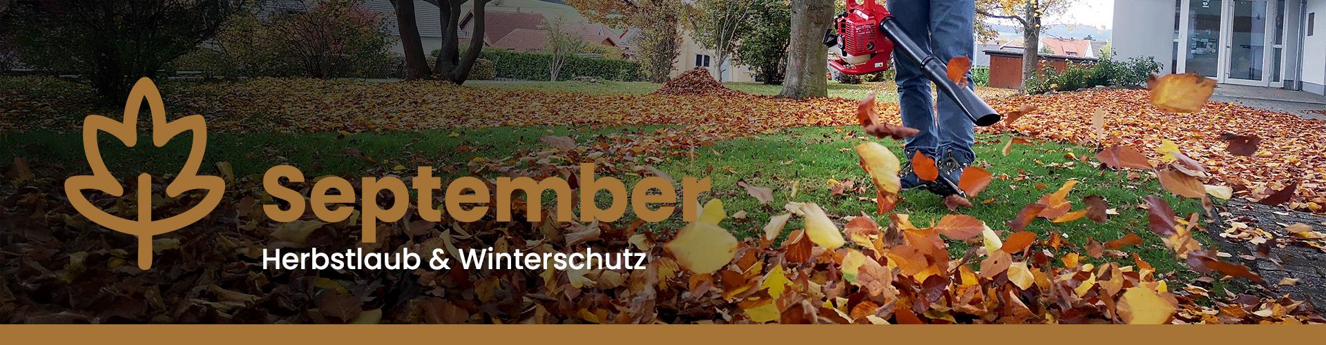 Gartenkalender für den September