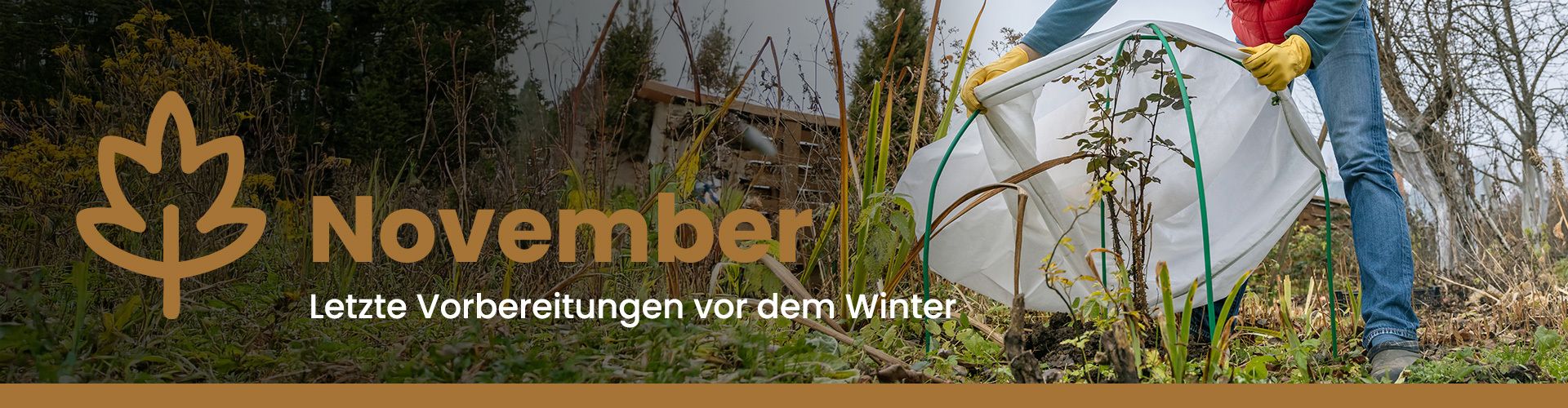 Gartenkalender für den November