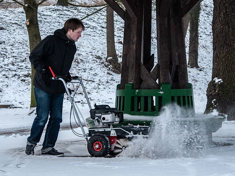 Gartenkalender für den Februar