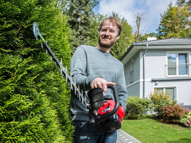 Gartenkalender für März