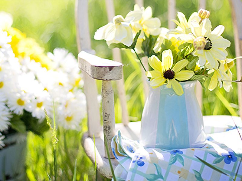 Gartenkalender für Juni