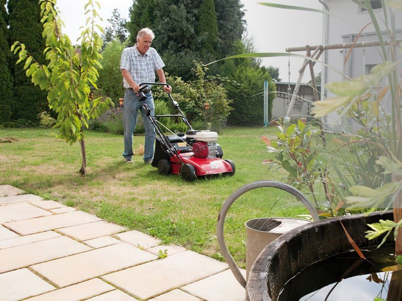 Gartenkalender für August