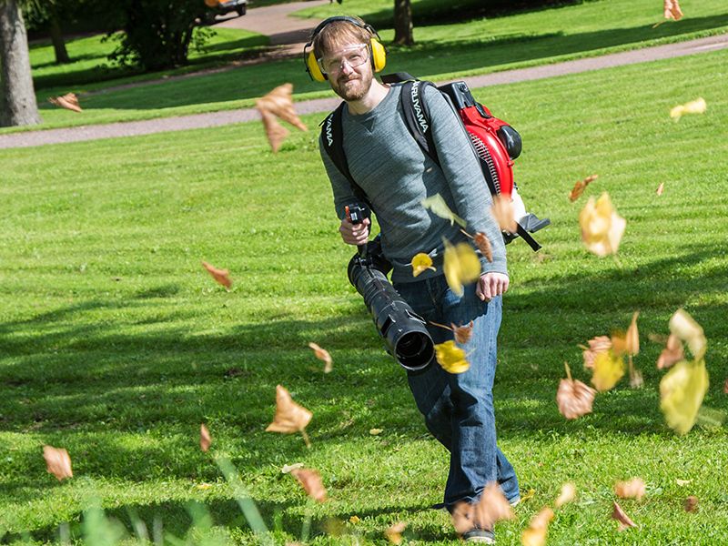 Gartenkalender für Oktober